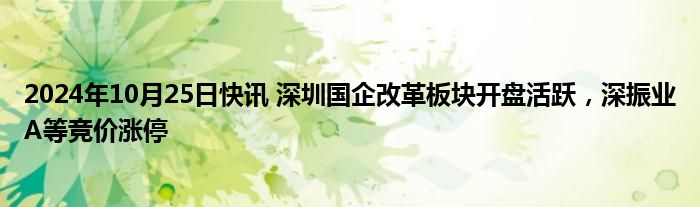 2024年10月25日快讯 深圳国企改革板块开盘活跃，深振业A等竞价涨停