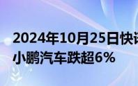 2024年10月25日快讯 美股热门中概股普跌，小鹏汽车跌超6%