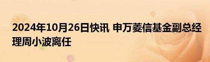 2024年10月26日快讯 申万菱信基金副总经理周小波离任