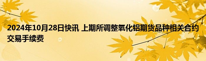 2024年10月28日快讯 上期所调整氧化铝期货品种相关合约交易手续费