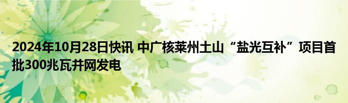 2024年10月28日快讯 中广核莱州土山“盐光互补”项目首批300兆瓦并网发电