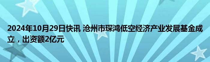 2024年10月29日快讯 沧州市琛鸿低空经济产业发展基金成立，出资额2亿元