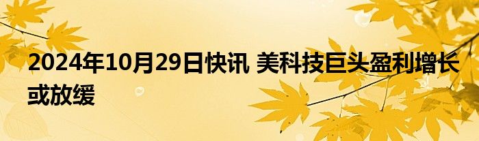 2024年10月29日快讯 美科技巨头盈利增长或放缓