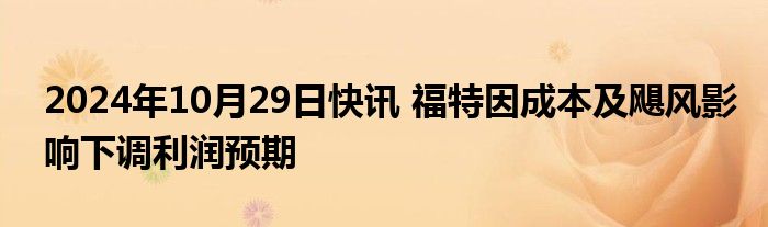 2024年10月29日快讯 福特因成本及飓风影响下调利润预期