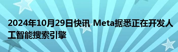 2024年10月29日快讯 Meta据悉正在开发人工智能搜索引擎