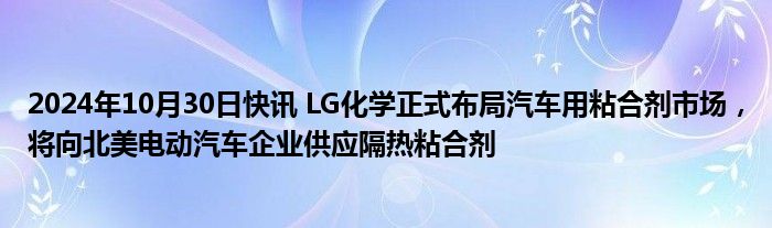 2024年10月30日快讯 LG化学正式布局汽车用粘合剂市场，将向北美电动汽车企业供应隔热粘合剂