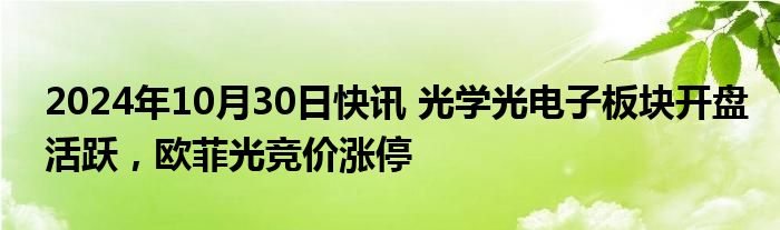 2024年10月30日快讯 光学光电子板块开盘活跃，欧菲光竞价涨停