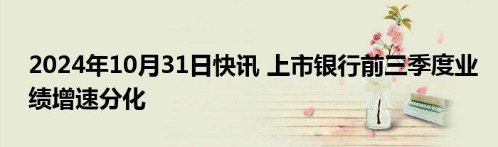 2024年10月31日快讯 上市银行前三季度业绩增速分化